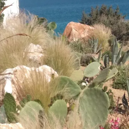 Glymar Paros 게스트하우스 피소리바디